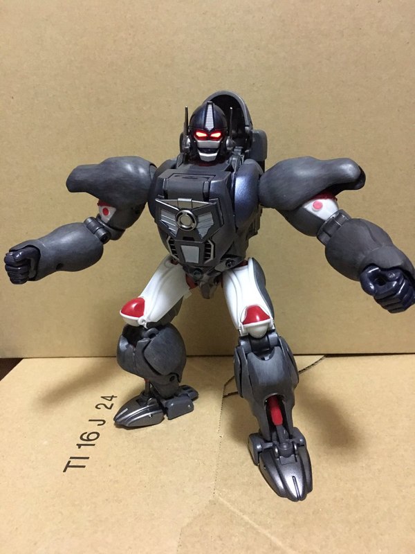 MP 32 Masterpiece Optimus Primal   In Hand Photos Surface On Twitter  (32 of 81)